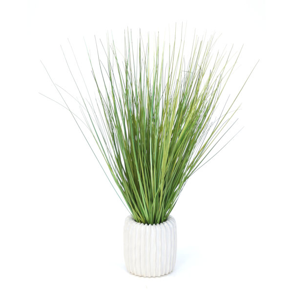 Highland Dunes 23'' Faux Foliage Grass in Vase & Reviews Wayfair